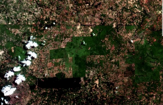 Mere Plantations tweet media