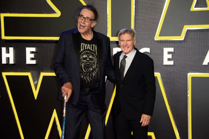 On this day, 2019, Peter Mayhew @TheWookieeRoars, joined the force. Chewie will be missed forever. I'm sure that he was a kind man....
@HamillHimself @1Flukeskywalker @LitaNeumann @maka_gh @Tai_Chi_Jedi @Jedi_Archivist https://t.co/bG2lB9bPcA