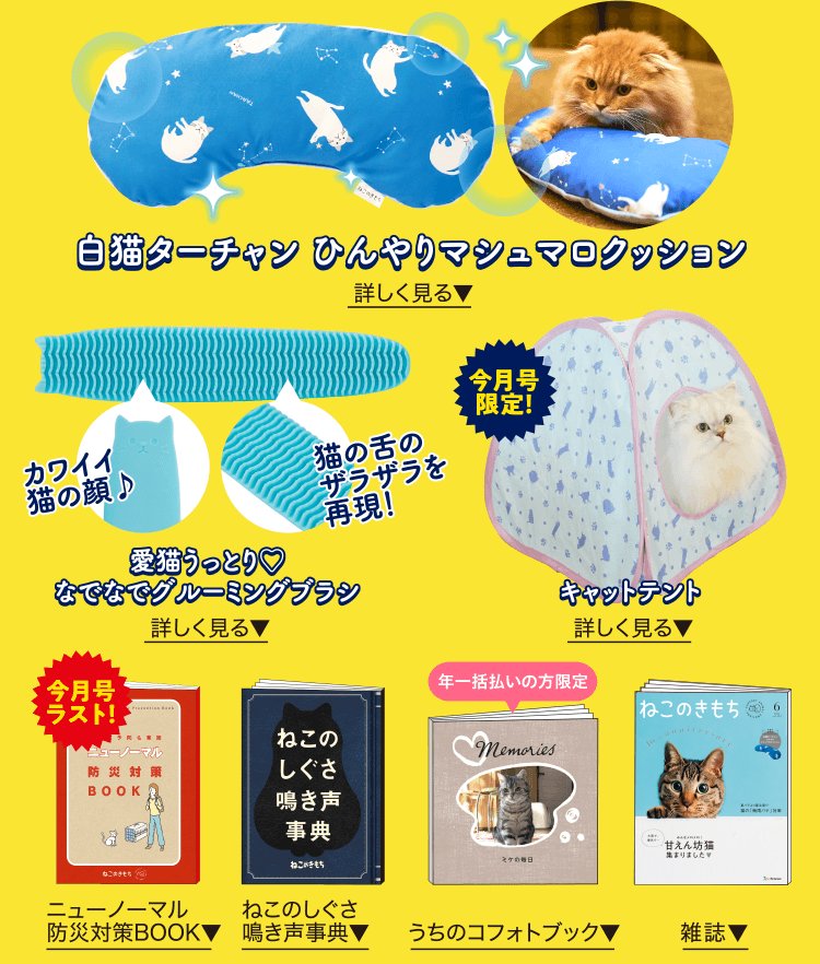 腰痛クッション