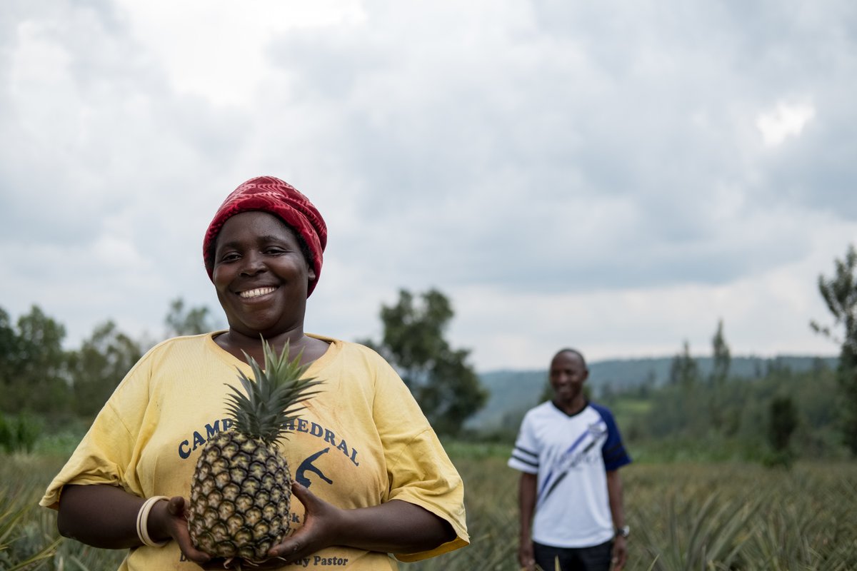 IFADPresident's tweet photo. We must shift our mind-sets and think in terms of food systems. 

By looking at the entirety of what it takes for a seed to become nutritious food on everyone’s plate, food systems can be an engine of economic growth.

#FeedAfrica https://t.co/lhiTcdpfXk