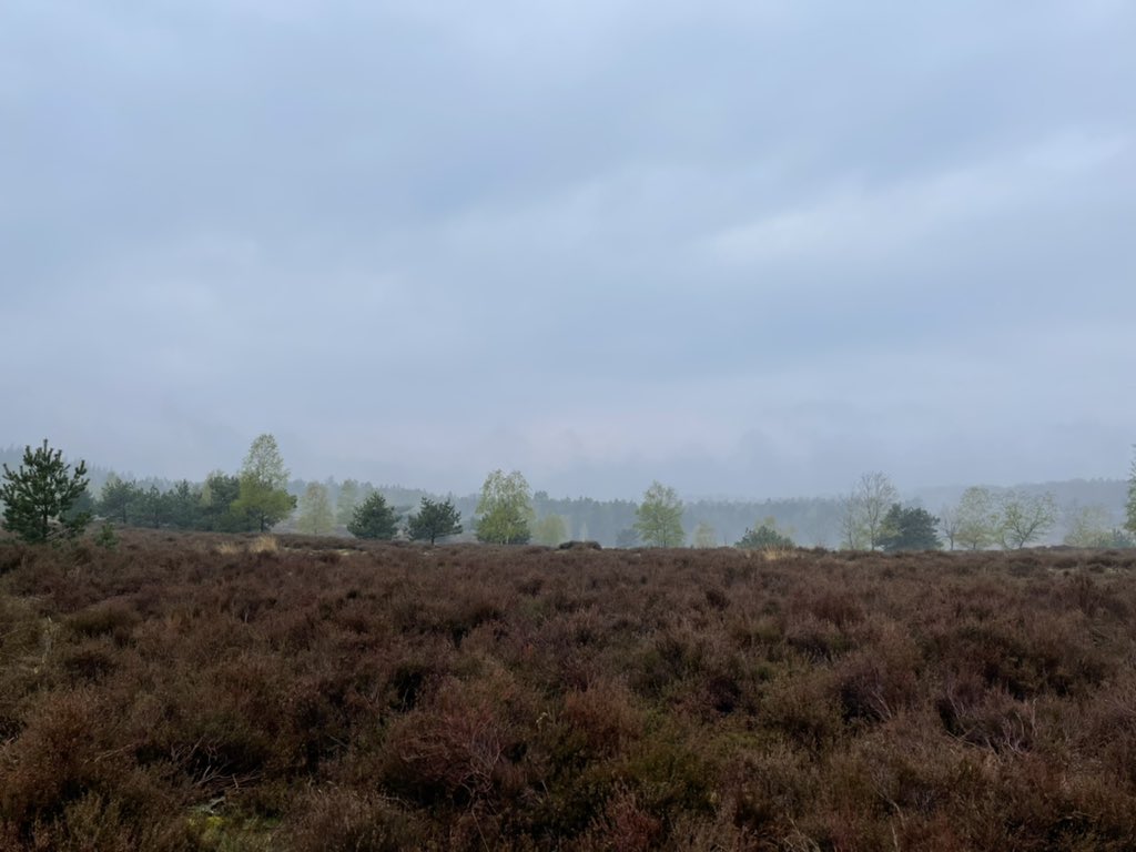 Zoals verwacht werd het een rustig ontbijt op de Telpost. Leuk was een doortrekkende man Beflijster die kortstondig ter plaatse was een snel laag vliegende vrouw Smelleken die in westelijke richting verdween.