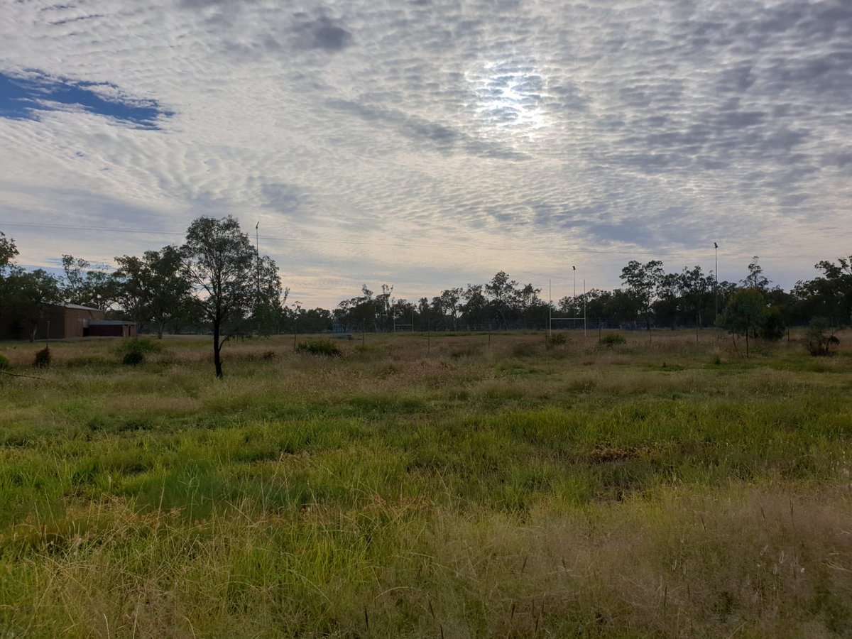 PiaMaturana (@matura_p) on Twitter photo We are grateful to have had the opportunity to teach and connect with Toomelah PS students & staff these past few weeks. With 100% Aboriginal students, their smiles, perseverance & witty banter has made this a memorable experience. <a href="/SmithfieldPS/">Smithfield PS</a> <a href="/JodiharrisJodi/">Jodi Harris</a> @MarkDiamondLPS We are grateful to have had the opportunity to teach and connect with Toomelah PS students & staff these past few weeks. With 100% Aboriginal students, their smiles, perseverance & witty banter has made this a memorable experience. <a href="/SmithfieldPS/">Smithfield PS</a> <a href="/JodiharrisJodi/">Jodi Harris</a> @MarkDiamondLPS