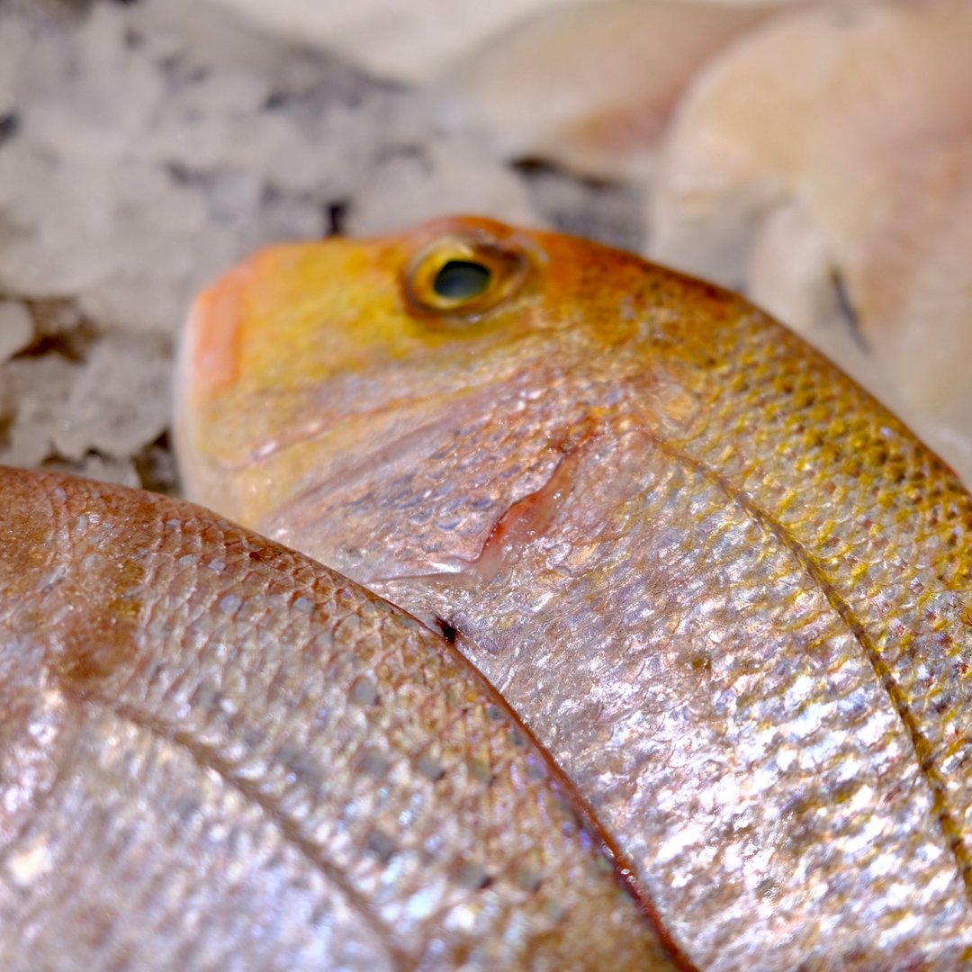 Wild pink bream on the show today