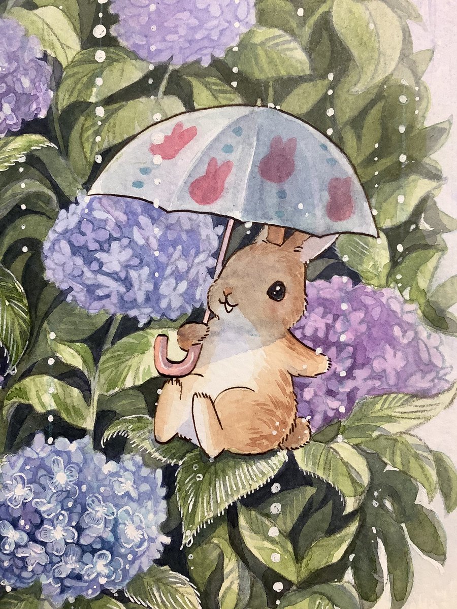 hydrangea flower rabbit umbrella no humans rain holding  illustration images
