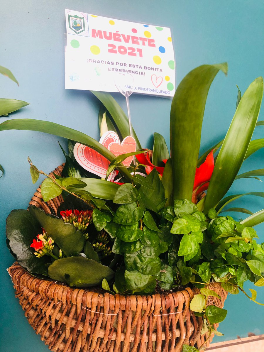 @cprcamino1 tweet media