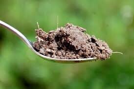There are more living organisms in a teaspoon full of healthy soil than people living on earth! That’s more than 6 billion!