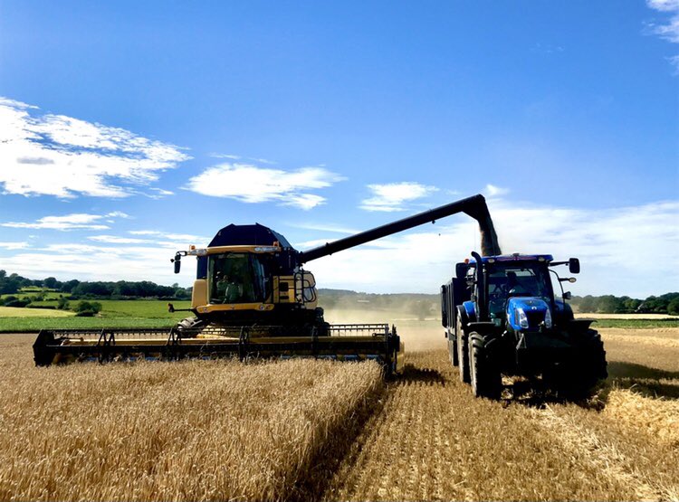 As humans began to farm, we would be removing huge amounts of nutrients from that cycle each and every time we harvest. Slowly our soils have began to degrade, something that has been intensified as the population has grown and demand for food has increased.