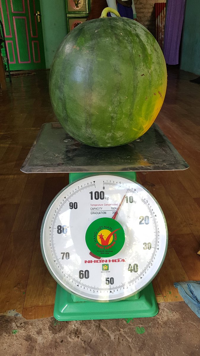 We're sharing some photos of our mouthwatering watermelon and melons from fields around the world.*Please note that the photo with the crowd in Tanzania was taken at an event in 2017, before Covid-19 and its related social distancing regulations.