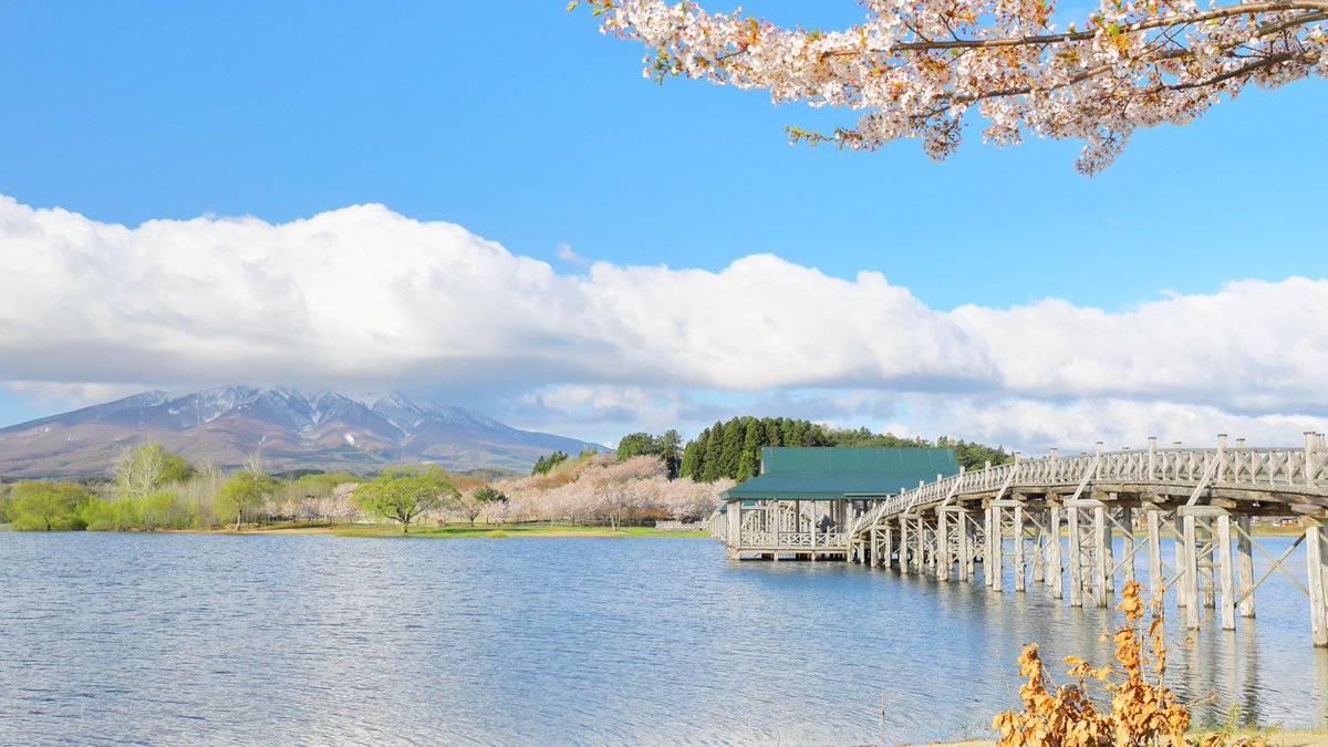 たけし 鶴の舞橋 この日は岩木山は残念ながら雲の傘をかぶりましたが 桜 とのコラボは今しか望めませんね 岩木山 の雄大な山影を湖面に美しく映す津軽富士見湖に 日本一長い三連太鼓橋 鶴の舞橋 全長300メートルもの三連太鼓橋はぬくもりを感じさせる