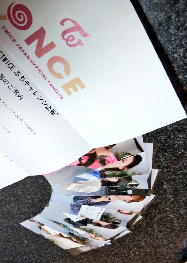twice ぷちチャレンジ 生写真 モモ | mail.mkretail.com