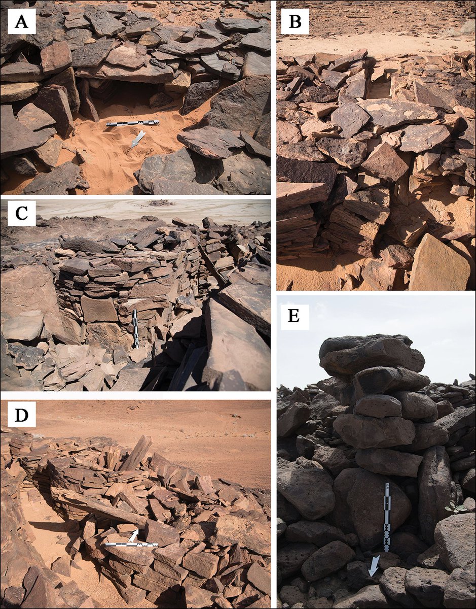 The ground survey revealed that the structures were more complex than previously believed, featuring distinct entranceways, organised ‘cells’ and standing stones. 8/: Some of the features of mustatils mentioned in the tweet