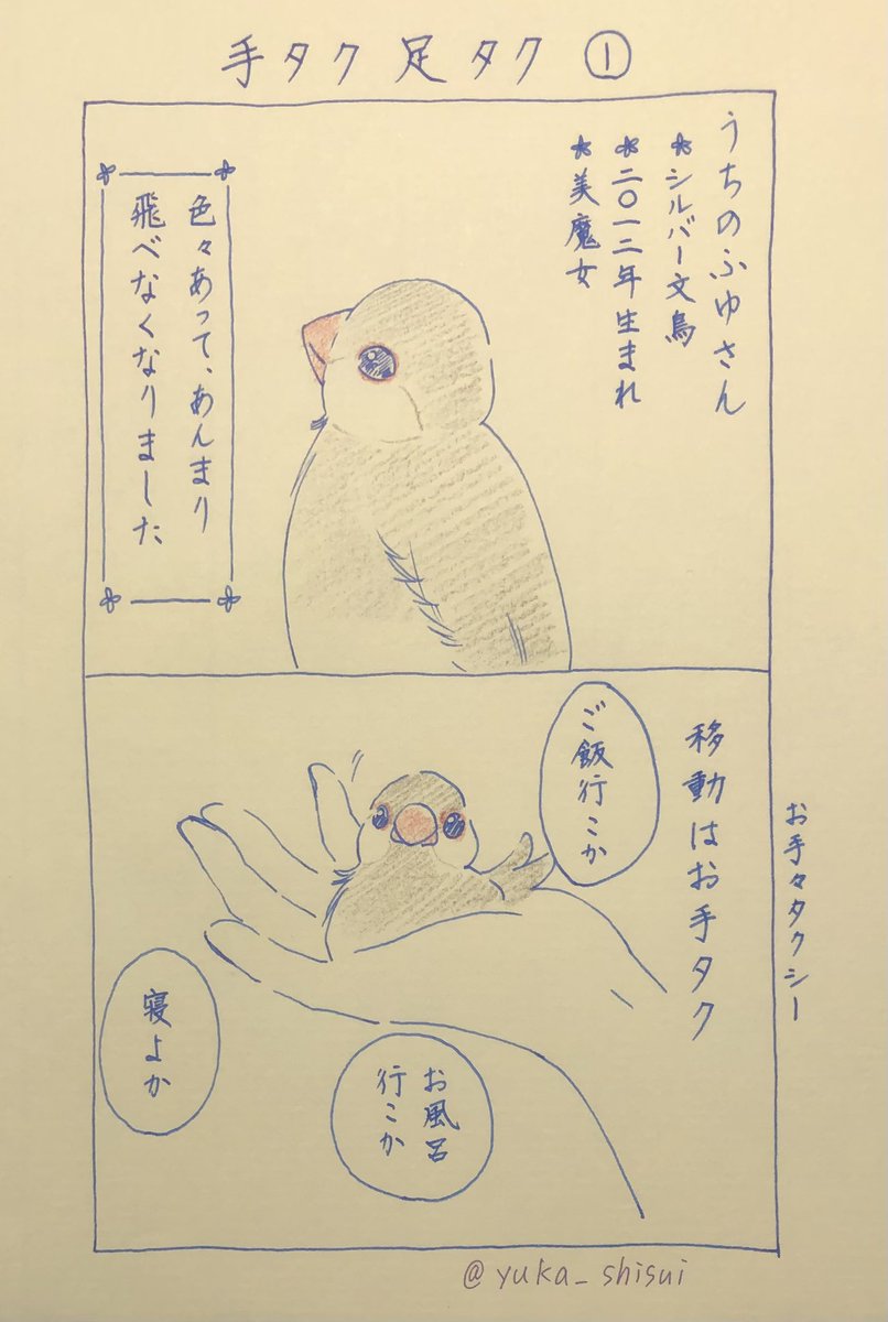 ゆかぽん様 ゆかぽん (@supermarriageblue_yukapon) • Threads, Say more