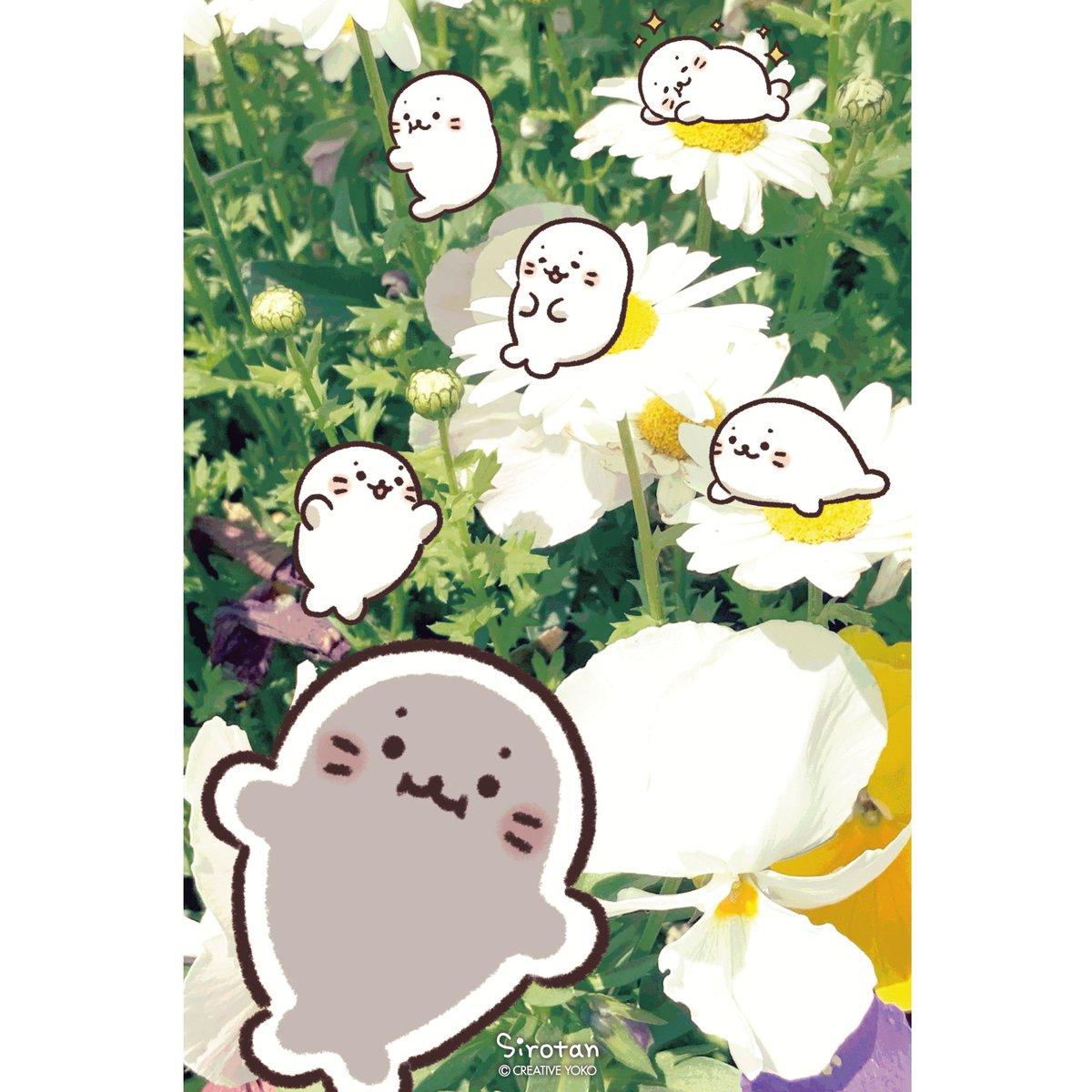 🌼今月の壁紙🌼

公式サイトで5月の壁紙を配信致しました。

LINEスタンプ『写真に貼れる♪しろたんスタンプ』を使って壁紙を作ってみたよ💫

スタンプを使った楽しい写真ができたら #しろたんLINEスタンプ をつけてシェアしてね(=・ω・=)📷

壁紙は"DOWNLOAD"からどうぞ!
https://t.co/9eXI90lRss 