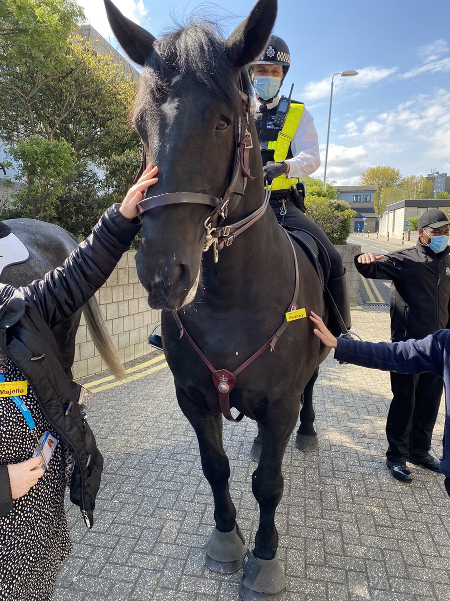 Resuscitation Services - LGT๐ณ๏ธโ๐ (@lgtresus) on Twitter photo Meet Dexter, the police wellbeing dog and Yankee & Putney. They even have โhello my name is...โ badges!!! #Wellbeing <a href="/LG_NHS/">Lewisham and Greenwich NHS Trust</a> <a href="/metpoliceuk/">Metropolitan Police</a> <a href="/LuigiAndreoli/">Luigi Andreoli (he/him)๐ณ๏ธโ๐๐ช๐บ๐ฎ๐น๐ฌ๐ง</a> Meet Dexter, the police wellbeing dog and Yankee & Putney. They even have โhello my name is...โ badges!!! #Wellbeing <a href="/LG_NHS/">Lewisham and Greenwich NHS Trust</a> <a href="/metpoliceuk/">Metropolitan Police</a> <a href="/LuigiAndreoli/">Luigi Andreoli (he/him)๐ณ๏ธโ๐๐ช๐บ๐ฎ๐น๐ฌ๐ง</a>