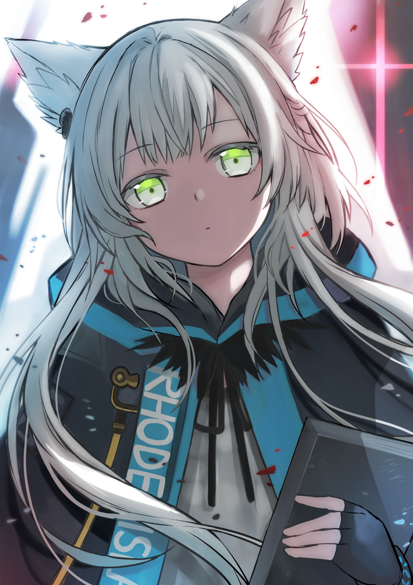 アークナイツ ロスモンティス ほぼフルセット