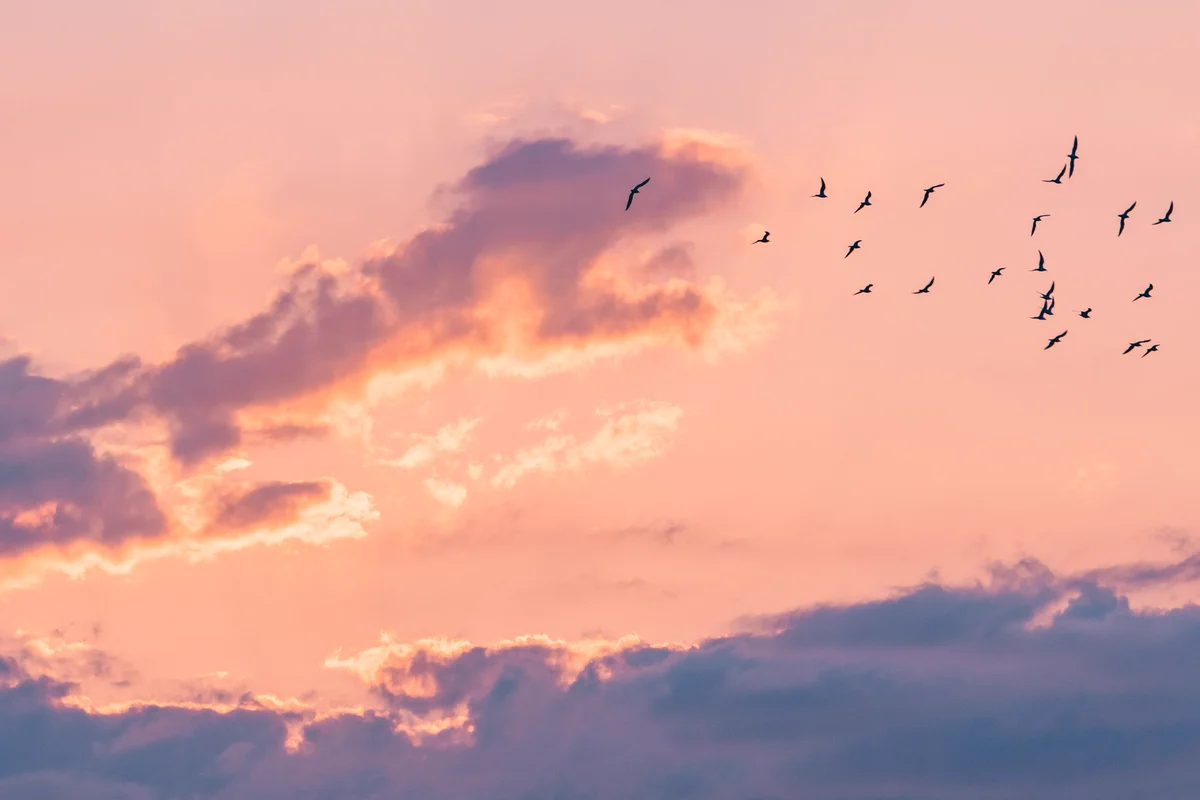 思わず見続けてしまう？空を見上げると動物の形をした雲がたくさんある！