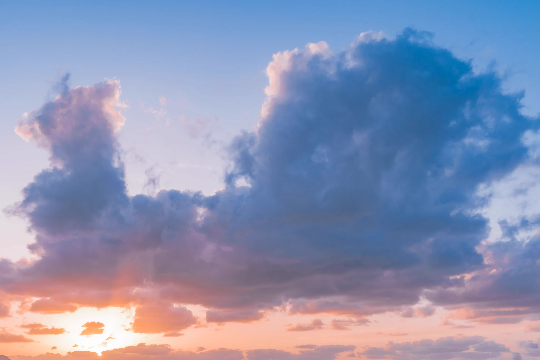 思わず見続けてしまう？空を見上げると動物の形をした雲がたくさんある！