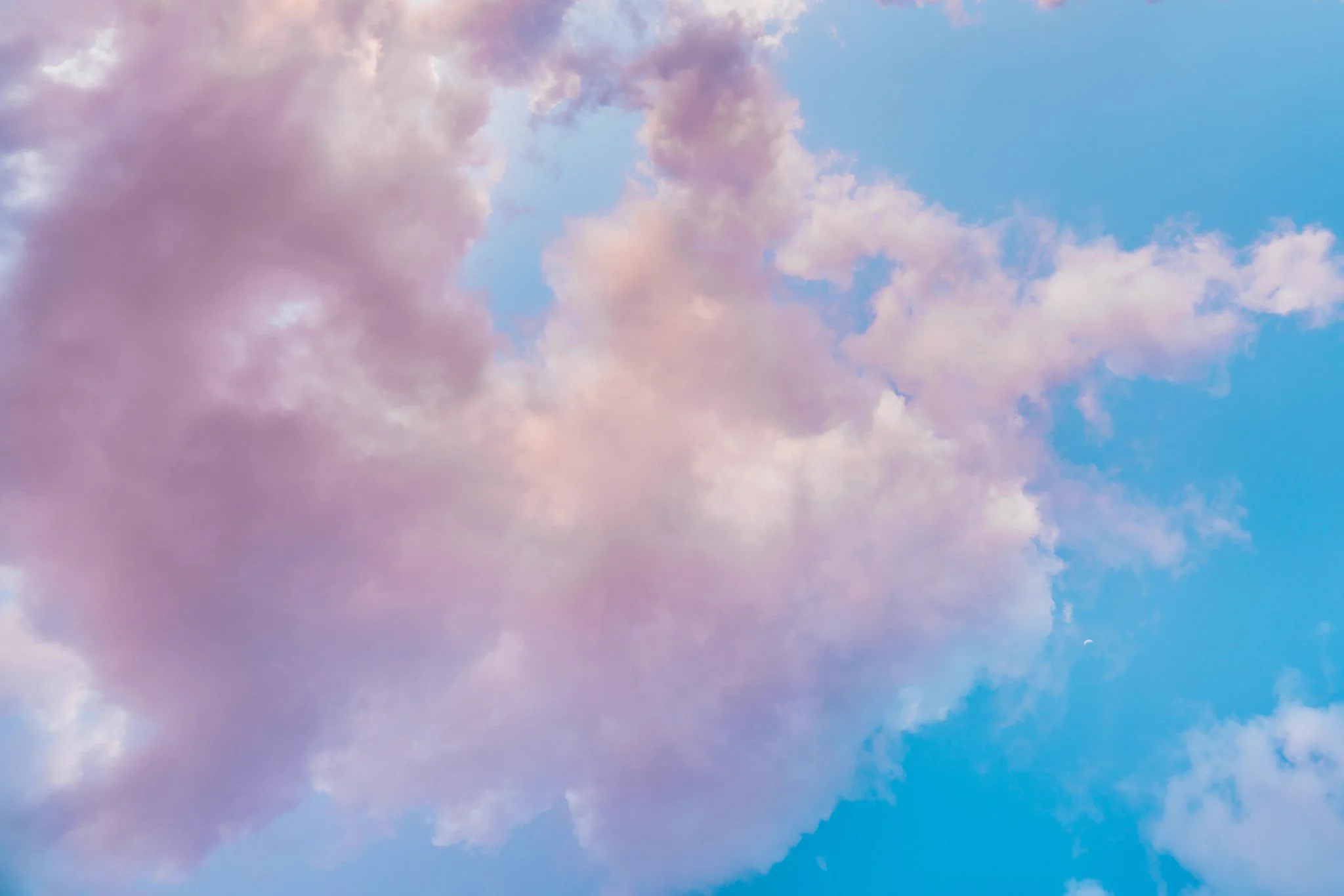 思わず見続けてしまう？空を見上げると動物の形をした雲がたくさんある！