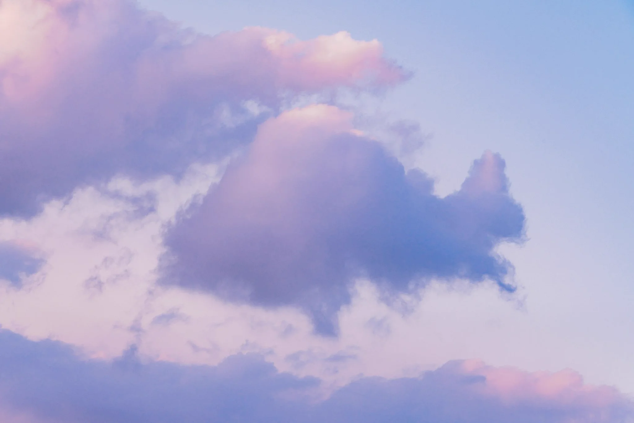 思わず見続けてしまう？空を見上げると動物の形をした雲がたくさんある！