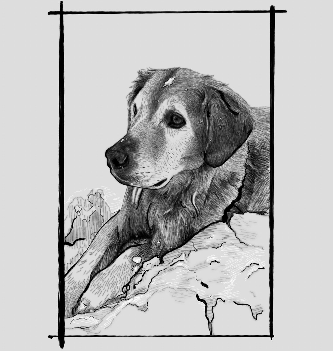 tegansgiraffe's tweet photo. i’m currently doing some lil pet commissions! £30 per pet/animal, £5 extra for background. dm me if ur interested :) https://t.co/uLiTc301FO