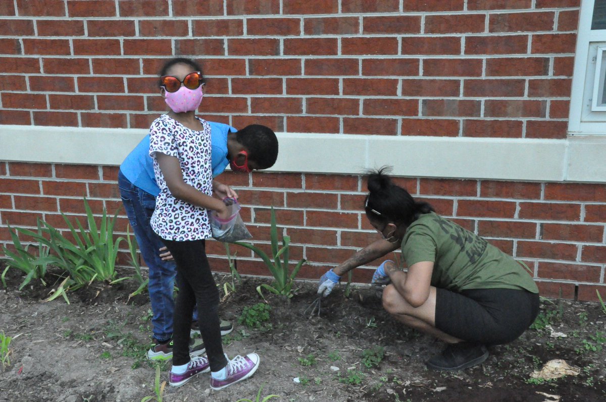 KevinRickard4's tweet image. We had a great crowd for the Garden Chefs club yesterday.. Some worked on weeding, planting feeding and watering. I introduced them to grass tea as a plant food. Nasty smell.. @HRichardson_VB @vbscratch #vbalwayslearning