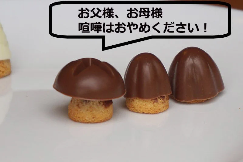 抗争に終止符？きのこの山とたけのこの里の子「きのこの里山」が誕生するwww