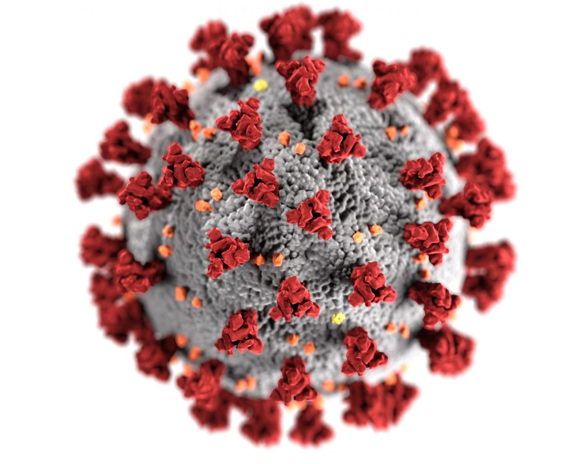 Let's talk about Vaccines.Still seeing a lot of confusion going around about the Mechanism of vaccines in use. I will attempt to explain it as simply as possible.Please read, and share.So, think of the SARS-CoV-2 virus as Ferrero Rocher. 1/n