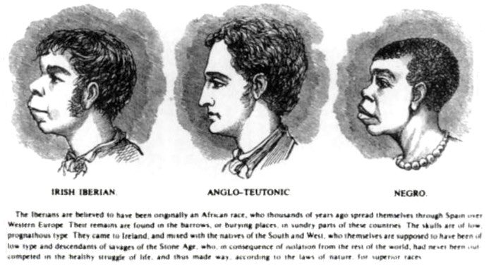 16)“In those days Irish immigrants had much in common with the African Americans”“Smoked Irish” = African American“Negroes turned inside out” = Irish