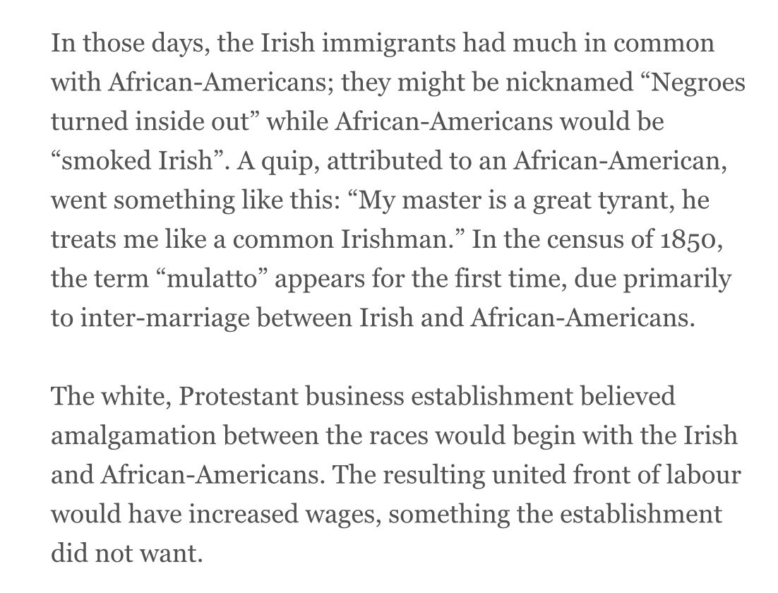16)“In those days Irish immigrants had much in common with the African Americans”“Smoked Irish” = African American“Negroes turned inside out” = Irish