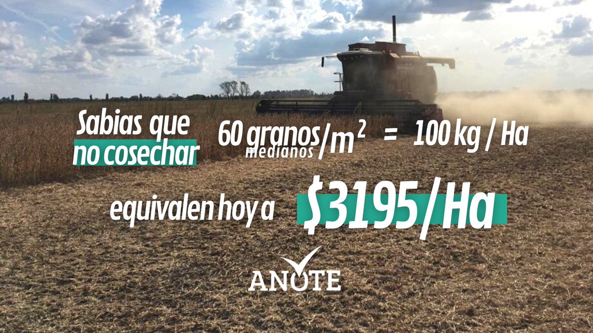 Campaña 2021👩‍🌾
#campoargentino #cosechasoja #agro