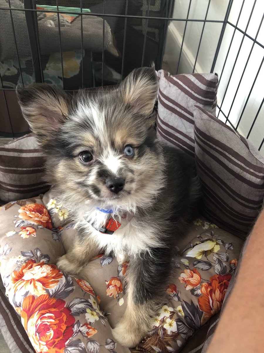 Alex M-B (She/Her) tweet media