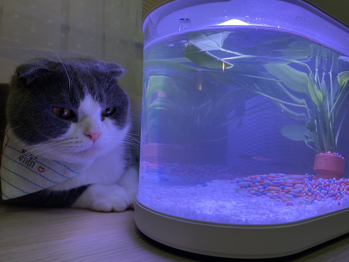 จะรอดมั้ยยยยย 😭