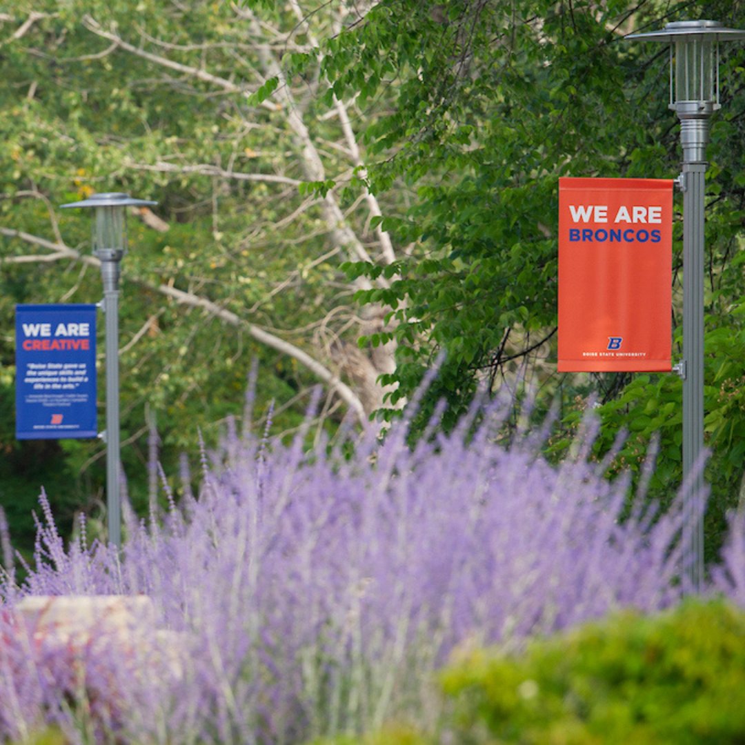 Boise State Advising and Academic Support Center tweet media