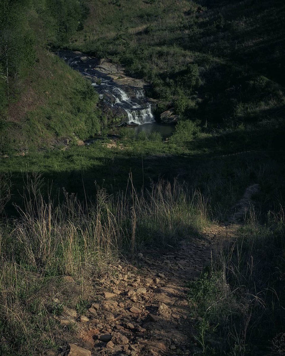 visitclemson's tweet photo. #FallsFriday featuring one of our favorites 💚. 

📍Todd Creek Falls 

// 📷: @chrismilphoto #visitclemson https://t.co/QME9rGMk4k