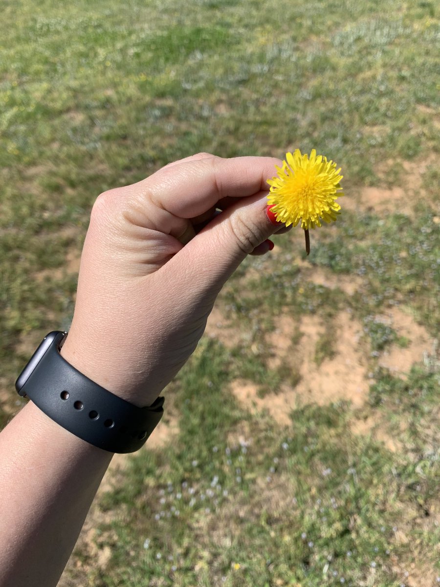 Middle schoolers really are the best age. Thanks to my student for bringing me this flower today. Happy Friday! ☀️