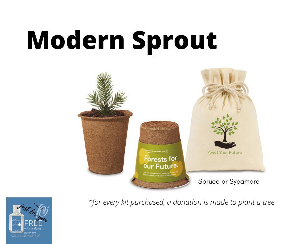 The gift that keeps giving!
We need trees now more than ever. Trees purify the air by absorbing and storing harmful greenhouse gases, and releasing oxygen back into our atmosphere. They gather precious rainwater while their roots filter out pollutants and prevent erosion.