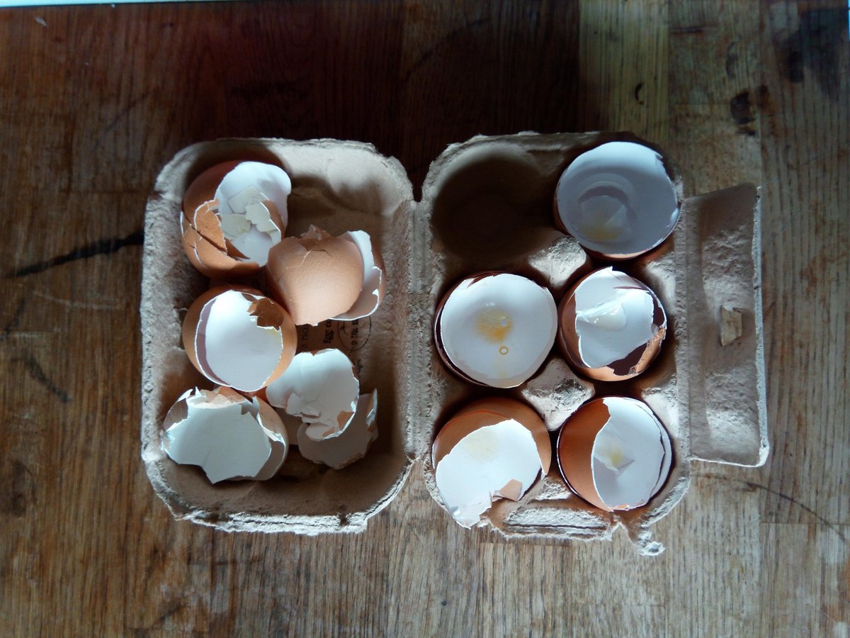 food_lincoln's tweet photo. It's a no-brainer to create compost if you have a garden. Here's a quick video of every day things you can put in your compost. #PeatFree #foodwaste #makecompost
https://t.co/CMl5iwFwDC https://t.co/8SDkTgx32z