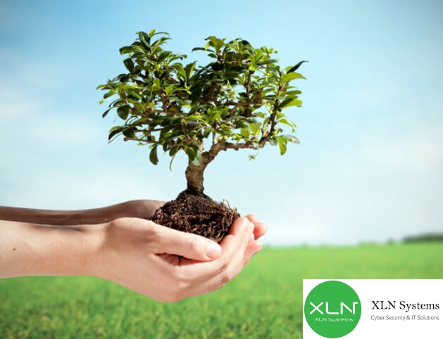XLNSystems's tweet photo. Celebrating Arbor Day!!!

#ArborDay #ArborDay2021 #GoGreen #plantatree #FridayFeeling #trees https://t.co/Pvex4MkCSB
