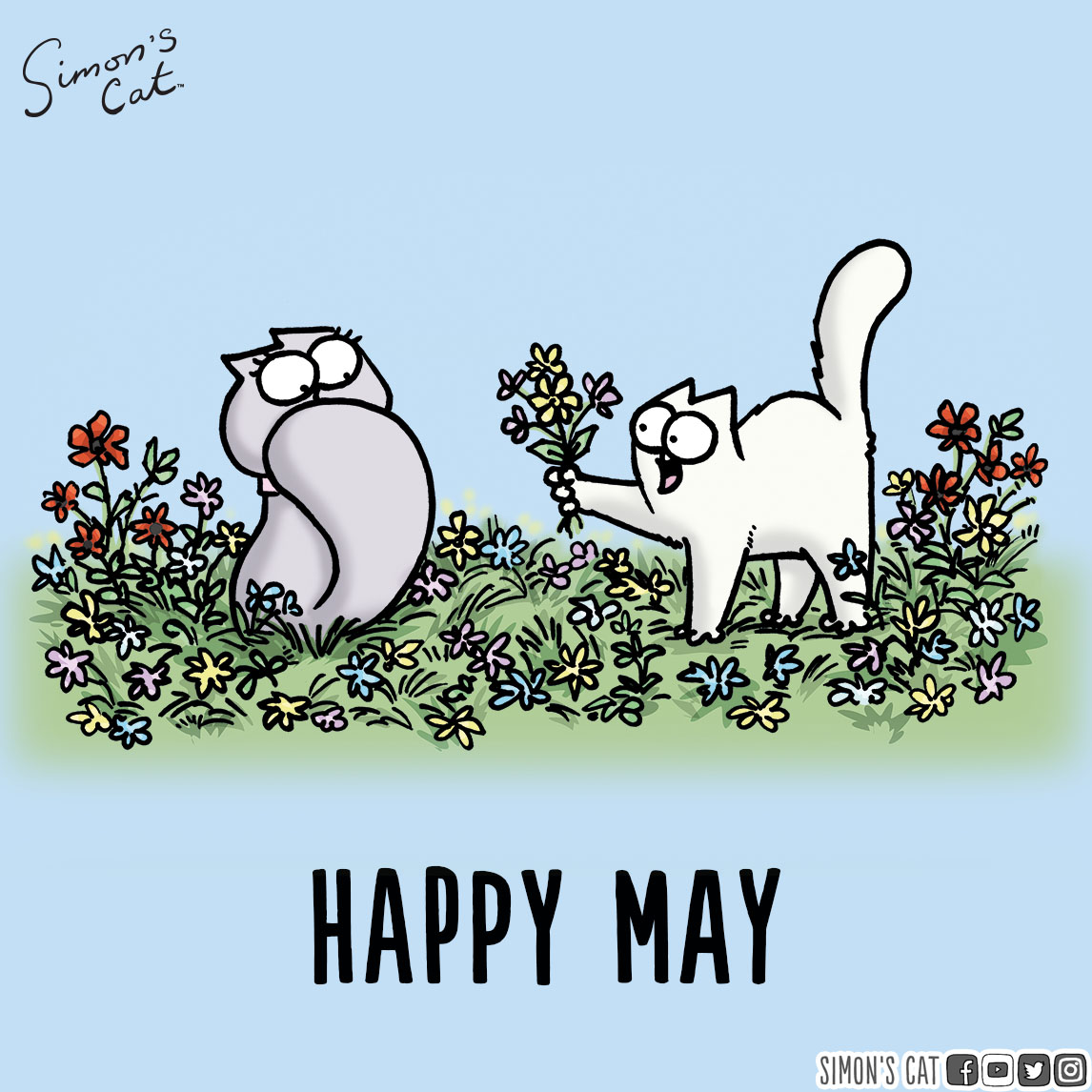 Have a great new month! Happy May...🥰 💐 🌷