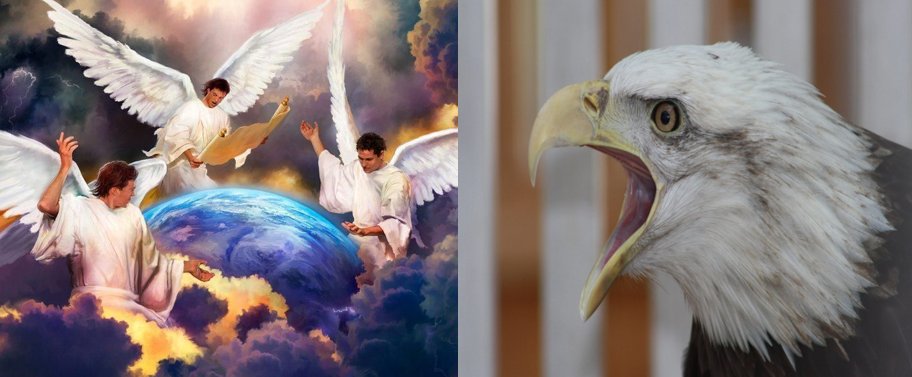 aEndTimeVision's tweet image. Modern Bible Versions change Angels to talking Eagles in Revelation 8:13! 
kjvdebate.com/blog/f/modern-…