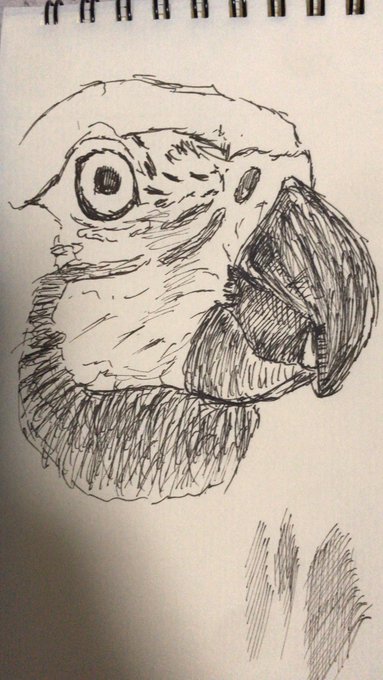 ペン画上手くなってる気がする
ミリペン をピグマ からコピックに変えたけど、低圧時にもコピックは安定してインク出るね
さっさと漫画かけって話だけど人体はむずいのさ 