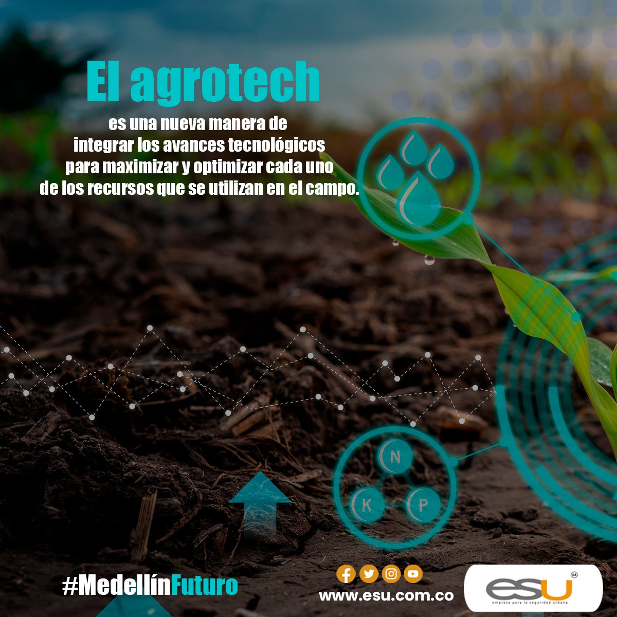 esumedellin's tweet image. El sector agrotech posee oportunidades de negocios prácticamente en toda la cadena de suministro, desde la producción inicial hasta el consumo final en los hogares.
ANIMAL DATA
ANÁLISIS DE DATOS DE PLANTAS
ROBÓTICA Y DRONES
MARKETPLACES
PRECISIÓN Y PREDICCIÓN EN AGRICULTURA