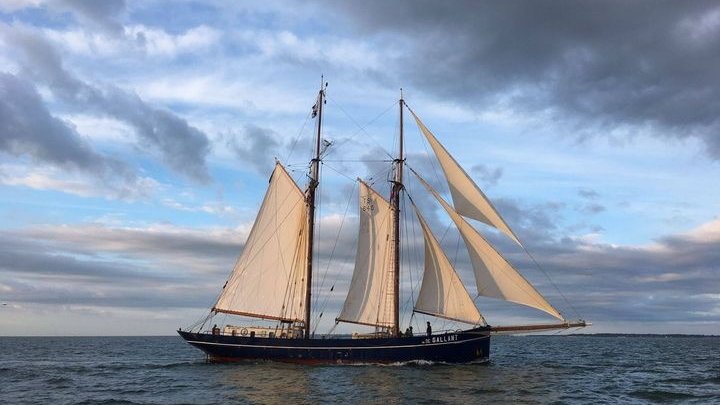 Call out for ships to join the Sail Cargo Alliance! With the continued growth of the sail cargo movement we are on the look-out for more sailing ships and Port Enterprises to join us. See more ... mcusercontent.com/4d878bad1582fa… #sailcargo #sustainabletrade #windpower #sailshipped