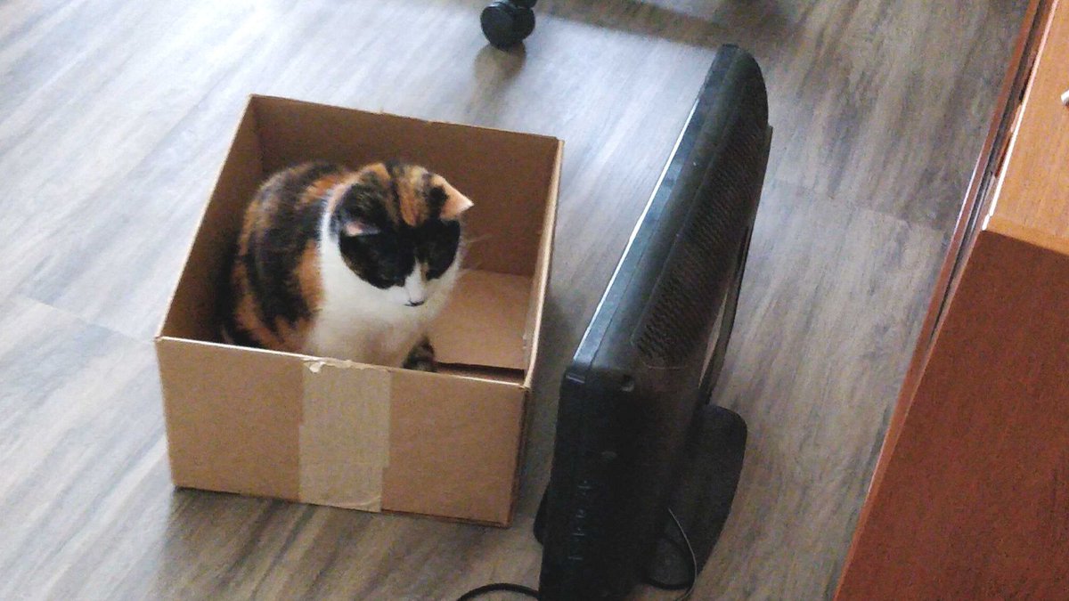 CLIRDLF's tweet photo. Be sure to think outside the box for your #DLFforum proposals. Submit those proposals by May 17th! https://t.co/NbsskSHm9s #DLFpets https://t.co/O2oXt7jqnZ
