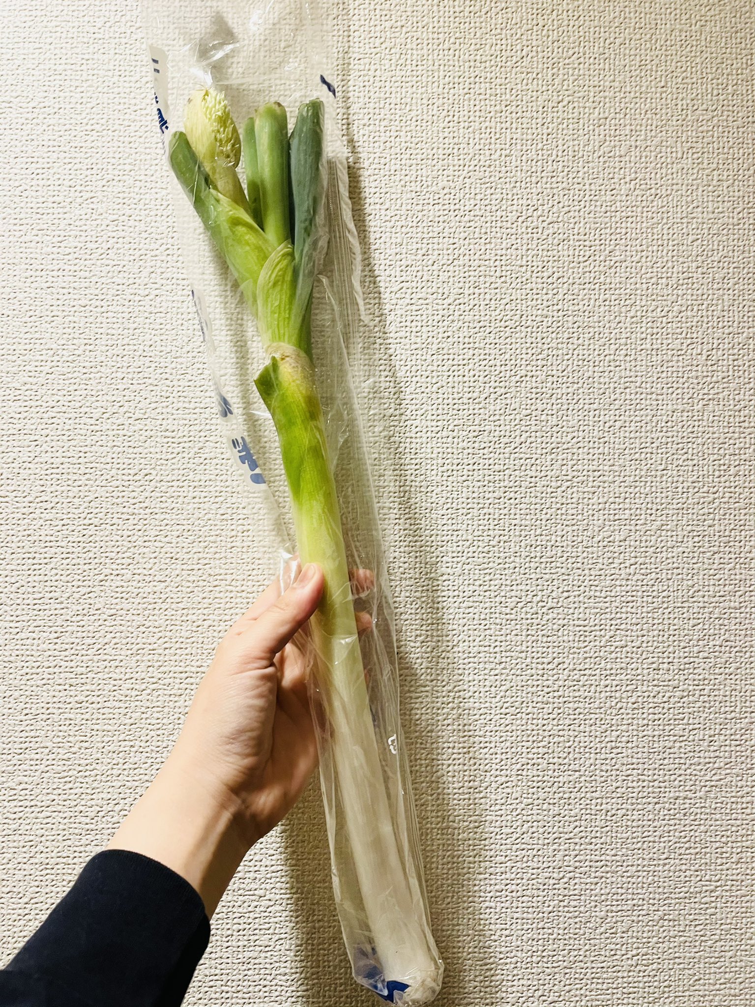 Miyab ミヤビ 5日前に買ったネギ 2本のうち1本しか使わず残りをずーっとキッチンの野菜置き場に放置してて 今ふと見たら ネギ坊主生まれそうになってる ネギって水も土もなくてもネギ坊主育つの えらいねぇ T Co Znjmuxpah4 Twitter Miyab ミヤビ 5日前に買ったネギ 2本のうち1本しか使わず残りをずーっとキッチンの野菜置き場に放置してて 今ふと見たら ネギ坊主生まれそうになってる ネギって水も土もなくてもネギ坊主育つの えらいねぇ T Co Znjmuxpah4 Twitter