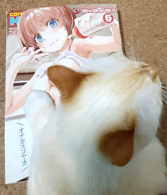 コミックホットミルク6月号あしたはつばいだよ～!
ひょうし描いたよわーいわーい٩(๑'ڡ`๑)۶
https://t.co/gvTcKFMQNj 