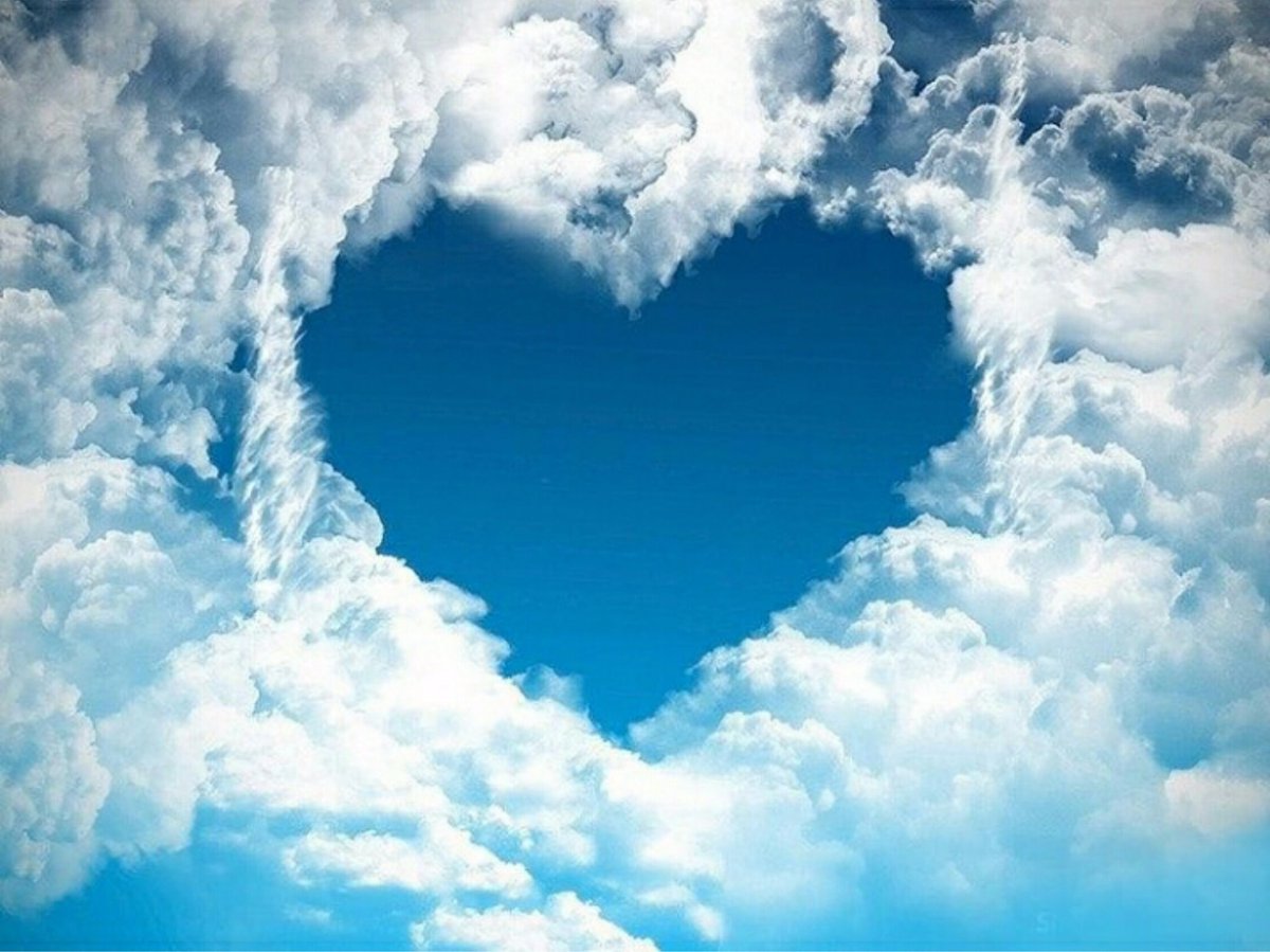 MajaCvetkovi4's tweet photo. Fly me up to where you are
Beyond the distant star
I wish upon tonight
To see you smile
If only for awhile to know you’re there
A breath away’s not far
To where you are 😇❤
#Pedja 😇 https://t.co/z7wy5AFu79