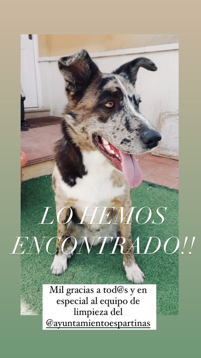 litobaena's tweet photo. @espartinas GRACIAS! https://t.co/1mPDy7jJbp
