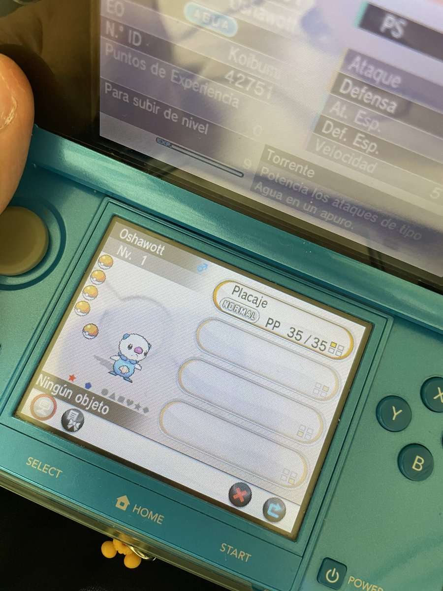 こいぶみ スペイン語色違いミジュマルきた スペイン語はあとフォッコと ダイケンキとマフォクシーにする用の それぞれ1匹ずつ追加で孵化作業 こいぶみ スペイン語色違いミジュマルきた スペイン語はあとフォッコと ダイケンキとマフォクシーにする用の それぞれ1匹ずつ追加で孵化作業