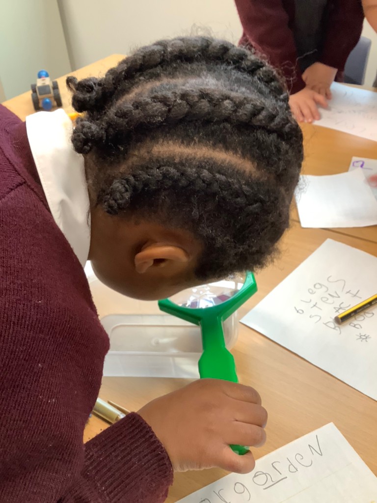 lakelandsprima1's tweet image. Today the children found a beetle in the classroom. We put it safely in a pot and looked at it closely with a magnifying glass. We talked about how it looked and drew pictures. We then spent some time looking through our bug book to see if we could identify it #EYFS #EYFSwriting